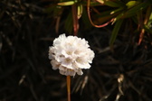 Enlarge photo 560