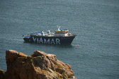 Enlarge photo 563