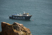 Enlarge photo 564