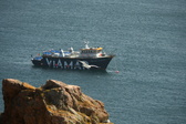 Enlarge photo 565