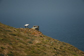 Enlarge photo 571