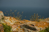 Enlarge photo 296