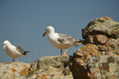Enlarge photo 297