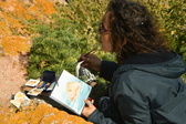 Enlarge photo 303