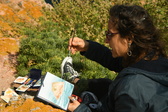 Enlarge photo 308