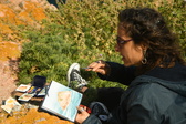 Enlarge photo 309