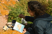Enlarge photo 310