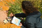 Enlarge photo 315