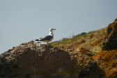 Enlarge photo 316