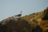 Enlarge photo 317