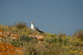 Enlarge photo 318