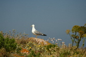 Enlarge photo 319