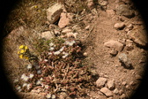 Enlarge photo 323