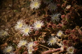Enlarge photo 324