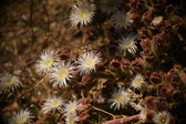 Enlarge photo 325