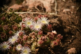 Enlarge photo 328