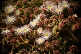 Enlarge photo 329