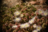 Enlarge photo 330