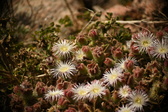 Enlarge photo 331