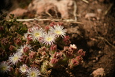 Enlarge photo 332
