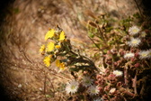 Enlarge photo 334