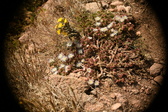 Enlarge photo 335