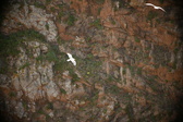 Enlarge photo 343