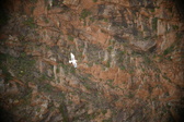 Enlarge photo 344