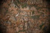 Enlarge photo 345