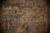 Enlarge photo 346