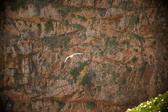 Enlarge photo 347