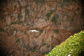 Enlarge photo 348