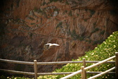 Enlarge photo 349