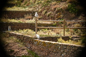 Enlarge photo 366