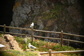 Enlarge photo 370