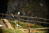 Enlarge photo 263