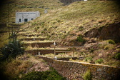 Enlarge photo 268