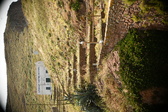 Enlarge photo 270