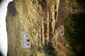 Enlarge photo 271