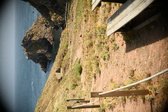 Enlarge photo 273