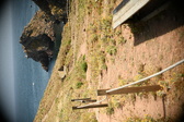 Enlarge photo 274