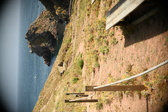 Enlarge photo 276