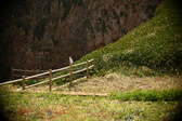 Enlarge photo 277