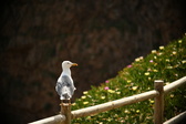 Enlarge photo 281