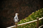 Enlarge photo 283
