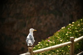 Enlarge photo 284