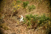 Enlarge photo 288