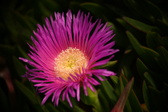 Enlarge photo 34