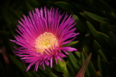 Enlarge photo 36