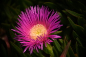 Enlarge photo 37